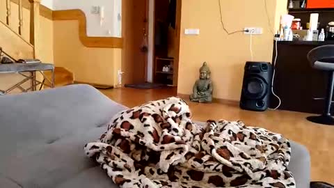 dxd69 online show from 04-22-26, 02:40