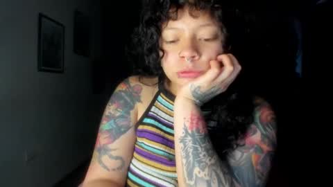 miau online show from 01-06-26, 10:01