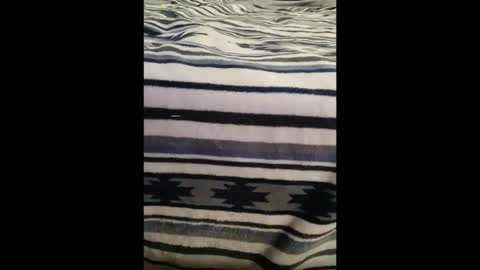 Snapshot of dat_guy8806 chatting on 01-05-26, 11:52 dat_guy8806 online show from 01-05-26, 11:52