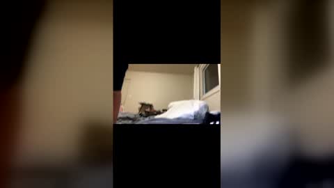 Snapshot of davenohere chatting on 02-22-26, 11:20 Exhibit A online show from 02-22-26, 11:20