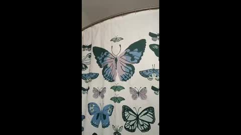 davidb510suckme online show from 05-17-26, 03:48
