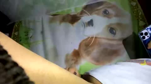 davzsoher online show from 01-10-25, 02:04