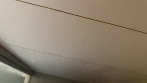 Hornybear online show from 01-19-26, 06:39