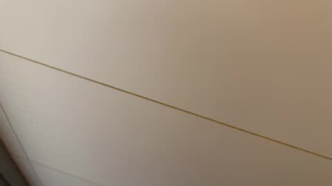 Hornybear online show from 02-27-26, 07:25