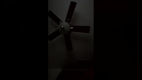 dayday724770 online show from 04-04-26, 07:00