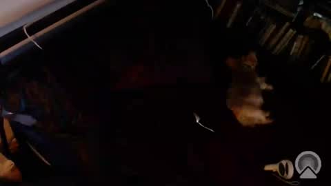 DCTeamFucker online show from 07-20-26, 01:20