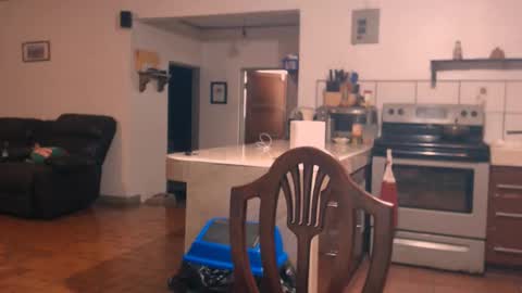 Snapshot of debbie_n_paul chatting on 11-22-25, 05:28 Paul Fitz online show from 11-22-25, 05:28