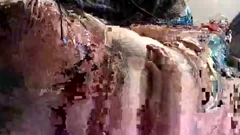 Snapshot of decoyx5o5 chatting on 01-09-25, 01:18 decoyx5o5 online show from 01-09-25, 01:18