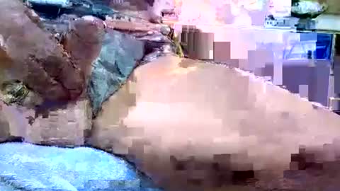 Snapshot of deepdiver3366 chatting on 01-19-26, 12:14 Dive Deep online show from 01-19-26, 12:14