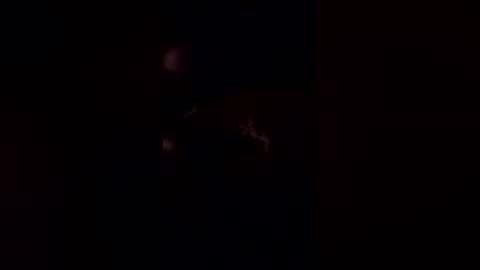 deerpark9 online show from 04-19-26, 03:06