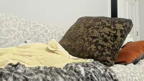 Snapshot of deeznutz343 chatting on 02-24-25, 05:33 Deez Nutz online show from 02-24-25, 05:33