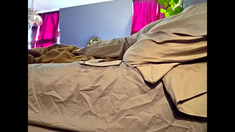 definitelymasterbating online show from 03-17-26, 02:42