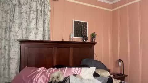 Snapshot of degeneratesaint chatting on 07-18-26, 04:49 Tori online show from 07-18-26, 04:49