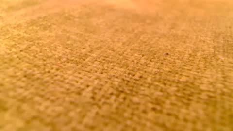 Snapshot of deliciaalove chatting on 12-17-24, 07:37 deliciaalove online show from 12-17-24, 07:37