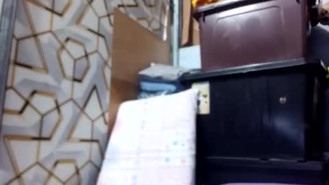 Snapshot of deliciousgirl975840 chatting on 06-01-26, 07:15 deliciousgirl975840 online show from 06-01-26, 07:15