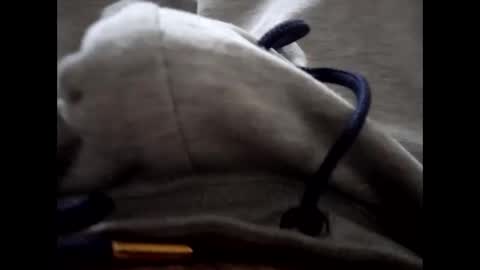 deliv_shopi online show from 01-15-26, 03:05