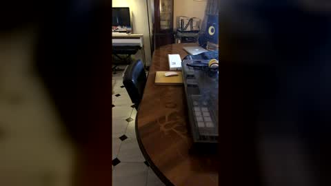 Demonomad online show from 03-19-26, 08:57