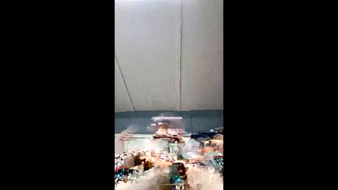 demonseed9325 online show from 05-06-26, 04:08