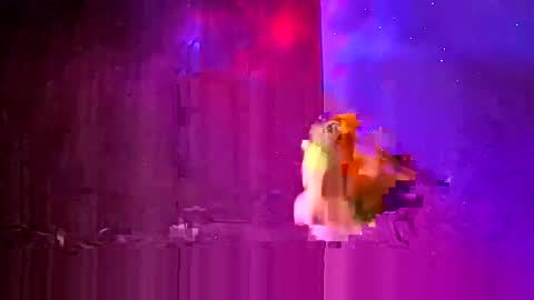 den2807 online show from 03-24-26, 12:15