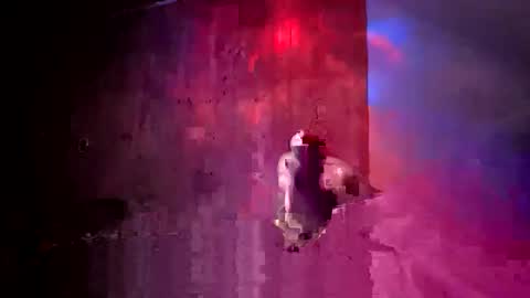 den2807 online show from 04-17-26, 02:25