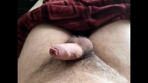 LilRoach online show from 02-10-26, 02:21