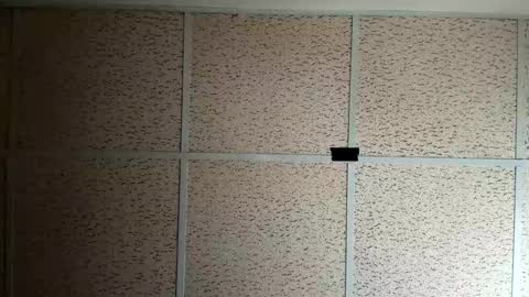 destinydiamondd online show from 01-18-26, 09:29