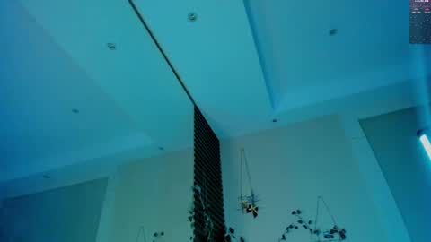 Devil online show from 02-19-25, 03:39