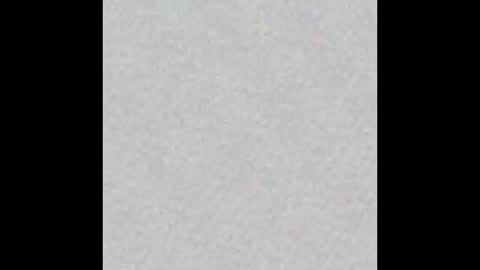 dogbrutus online show from 12-22-25, 08:00