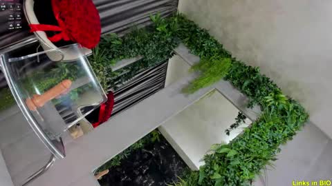 Snapshot of diamond_jo_ chatting on 02-08-25, 03:08 Jo online show from 02-08-25, 03:08