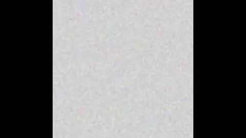 diana_lambert online show from 12-23-24, 08:55