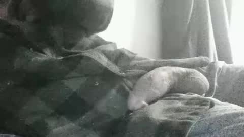Snapshot of dickseenormous chatting on 07-13-26, 11:35 dick online show from 07-13-26, 11:35