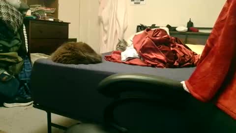 Steve online show from 02-15-26, 02:19