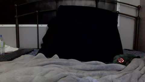 digbicknik online show from 02-26-25, 12:47