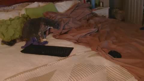 dildosnme22 online show from 12-18-25, 09:15