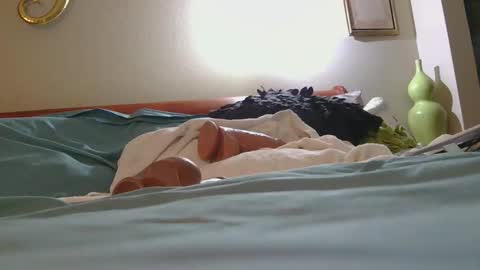 dildosnme22 online show from 02-10-26, 02:48