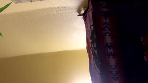 dimepiecebottom online show from 12-08-24, 01:47