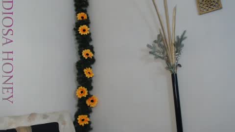 Diosa online show from 01-29-25, 08:46