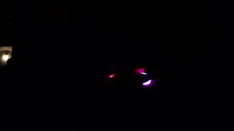 dirkdigglerofficial online show from 07-14-26, 02:05