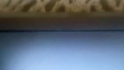 free4fun online show from 04-09-26, 06:30