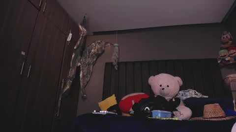 Snapshot of dirty_27cms chatting on 01-12-25, 09:08 dirty_27cms online show from 01-12-25, 09:08