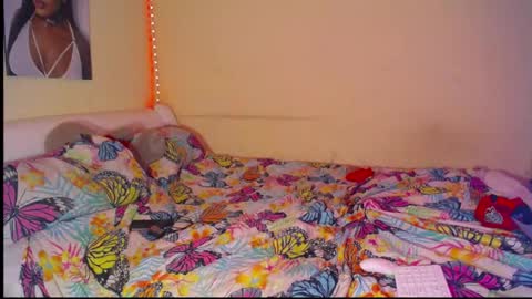 paradise online show from 03-21-26, 01:58