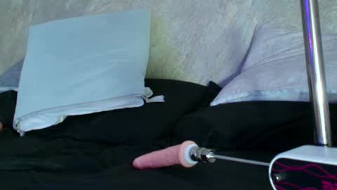 Snapshot of dixie_grey1 chatting on 09-11-25, 02:50 Sofia online show from 09-11-25, 02:50