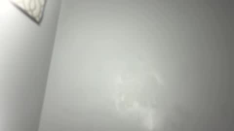 Snapshot of dixkzilla chatting on 03-02-25, 11:09 dixkzilla online show from 03-02-25, 11:09