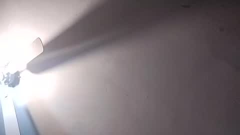 dixonbird41 online show from 02-25-25, 06:20