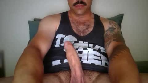 dk420mwa online show from 02-09-26, 06:50