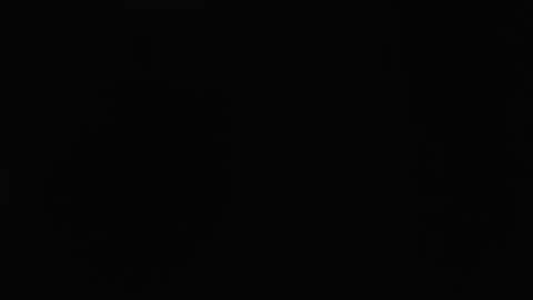 dlt22 online show from 04-12-26, 10:53