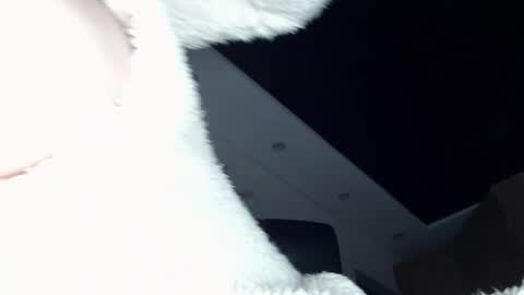 ILONA online show from 12-20-24, 11:54