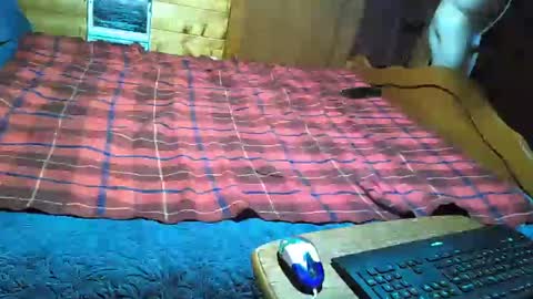 dolomois online show from 02-12-25, 01:06