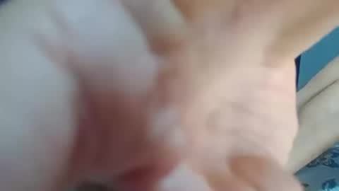 dominic_fox04 online show from 12-23-24, 12:14