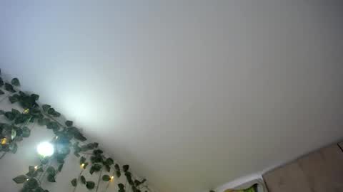 Snapshot of dominic_sofia chatting on 06-18-26, 12:09 dominic_sofia online show from 06-18-26, 12:09